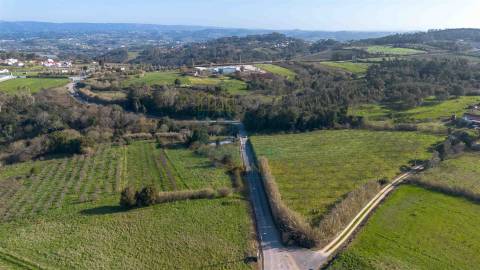 Terreno com 1,3 Hectares e Poço – Cela Nova, Alcobaça