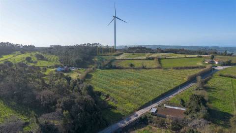 Terreno com 1,3 Hectares e Poço – Cela Nova, Alcobaça