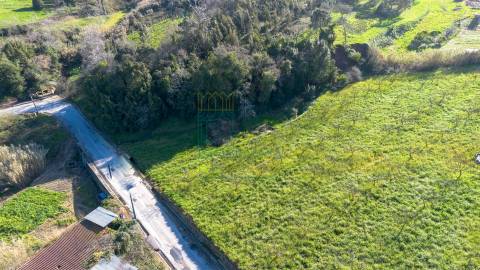 Terreno com 1,3 Hectares e Poço – Cela Nova, Alcobaça
