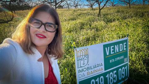 Terreno com 1,3 Hectares e Poço – Cela Nova, Alcobaça