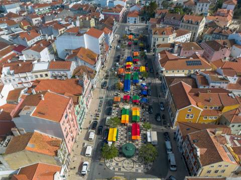 Terreno com 1,3 Hectares e Poço – Cela Nova, Alcobaça