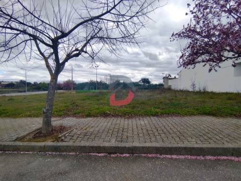 Lote de Terreno  Venda em Lardosa,Castelo Branco