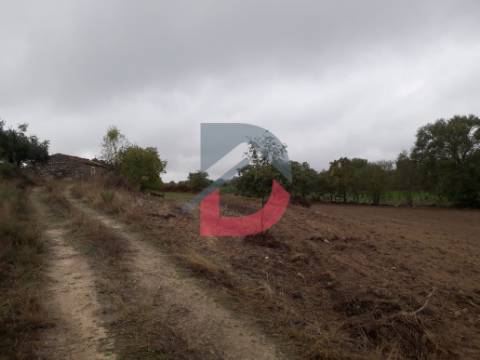 Terreno  Venda em Castelo Branco,Castelo Branco