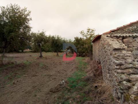 Terreno  Venda em Castelo Branco,Castelo Branco