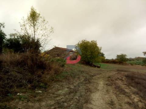 Terreno  Venda em Castelo Branco,Castelo Branco