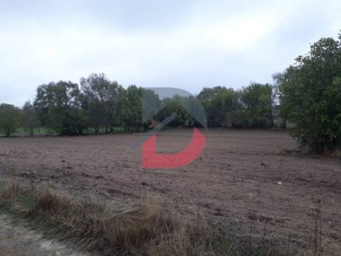 Terreno  Venda em Castelo Branco,Castelo Branco
