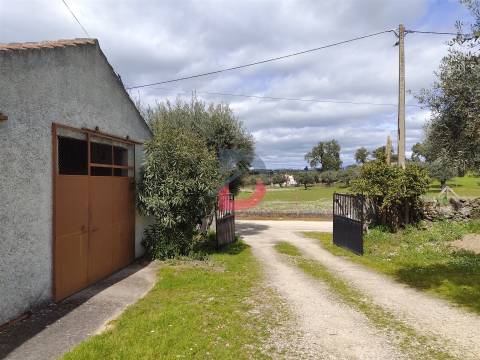 Quinta com moradia