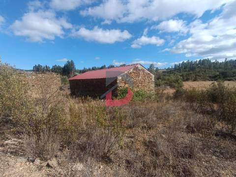 Terreno Rústico