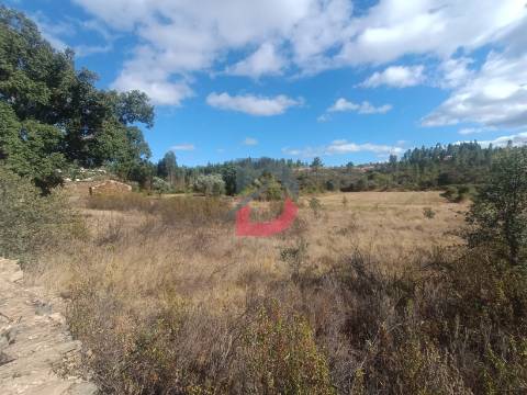 Terreno Rústico