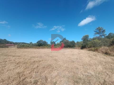 Terreno Rústico