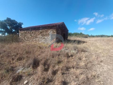 Terreno Rústico