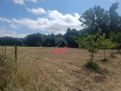 Terreno Rústico em  Avos