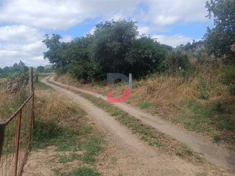 Terreno Rústico em  Avos