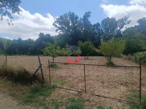 Terreno Rústico em  Avos