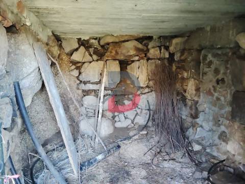 Terreno Rústico  Venda em Fornelos,Cinfães