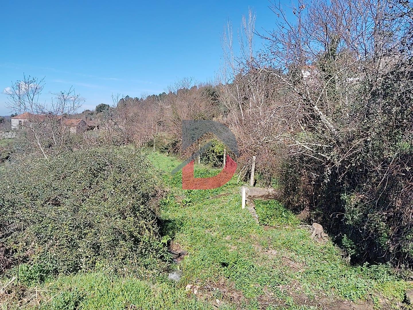 Terreno Rústico  Venda em Fornelos,Cinfães