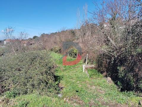 Terreno Rústico  Venda em Fornelos,Cinfães