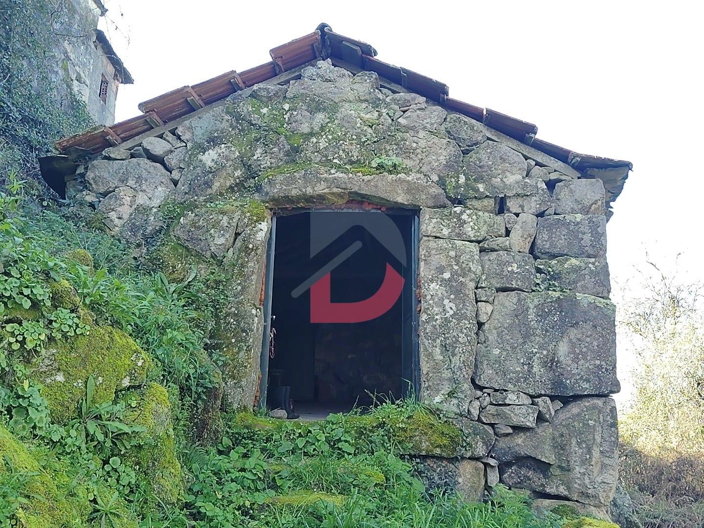 Terreno Rústico  Venda em Fornelos,Cinfães