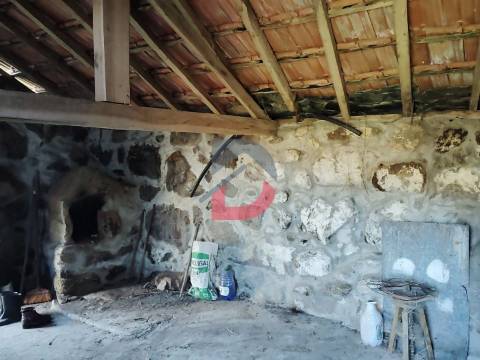 Terreno Rústico  Venda em Fornelos,Cinfães