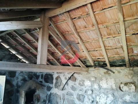 Terreno Rústico  Venda em Fornelos,Cinfães