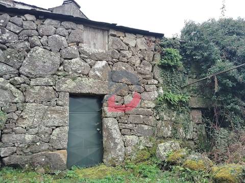 Terreno Rústico  Venda em Fornelos,Cinfães