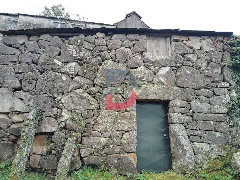 Terreno Rústico  Venda em Fornelos,Cinfães