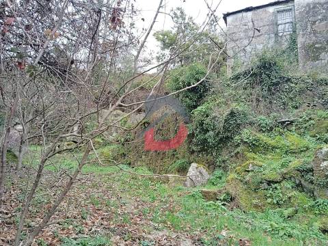 Terreno Rústico  Venda em Fornelos,Cinfães