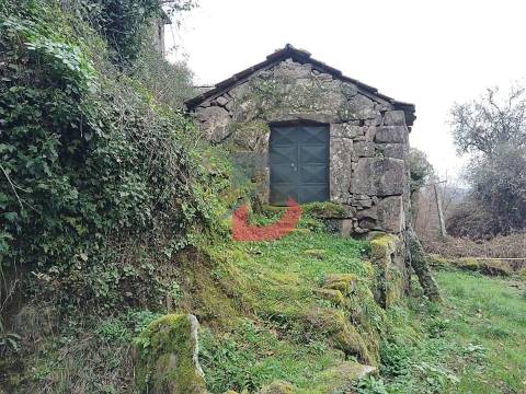 Terreno Rústico  Venda em Fornelos,Cinfães