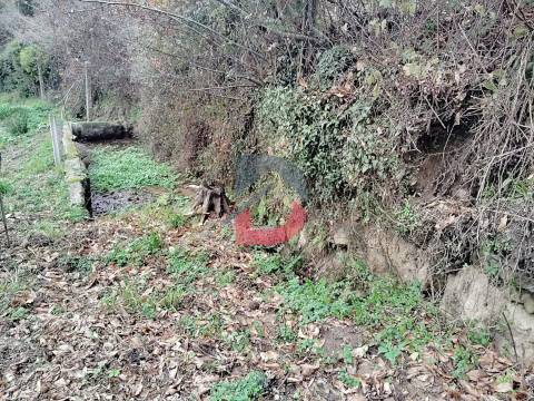 Terreno Rústico  Venda em Fornelos,Cinfães