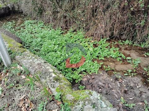 Terreno Rústico  Venda em Fornelos,Cinfães