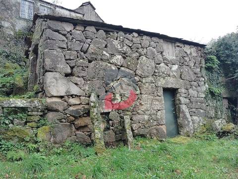 Terreno Rústico  Venda em Fornelos,Cinfães