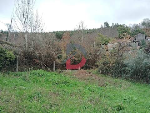 Terreno Rústico  Venda em Fornelos,Cinfães