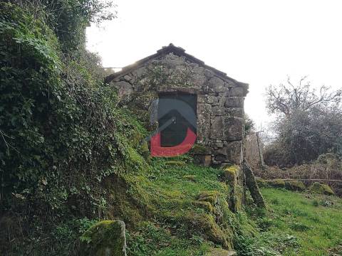 Terreno Rústico  Venda em Fornelos,Cinfães