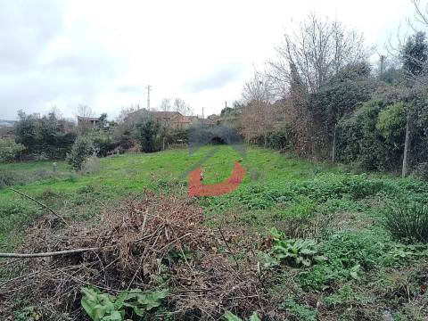 Terreno Rústico  Venda em Fornelos,Cinfães