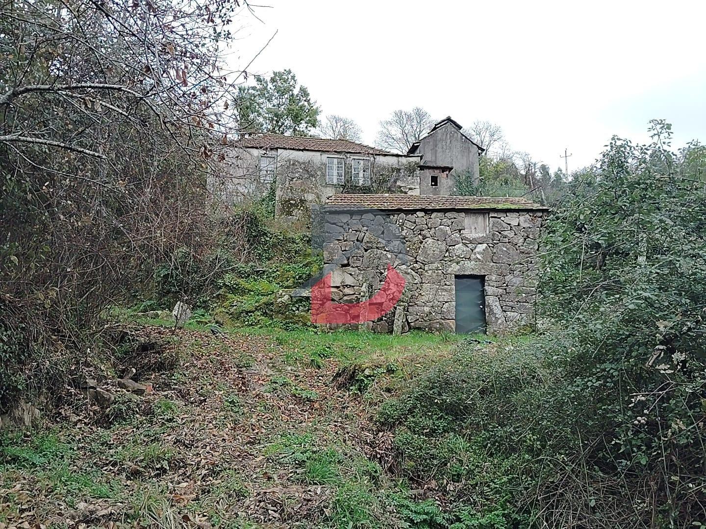 Terreno Rústico  Venda em Fornelos,Cinfães