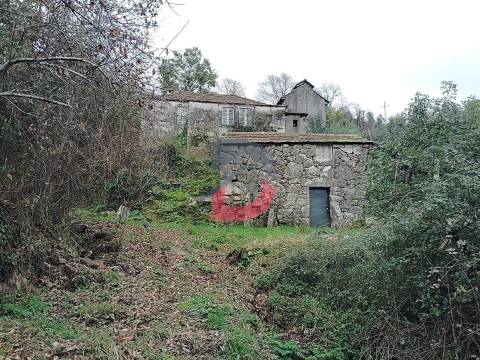 Terreno Rústico  Venda em Fornelos,Cinfães