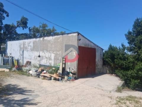 Quinta