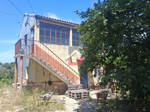 Quinta