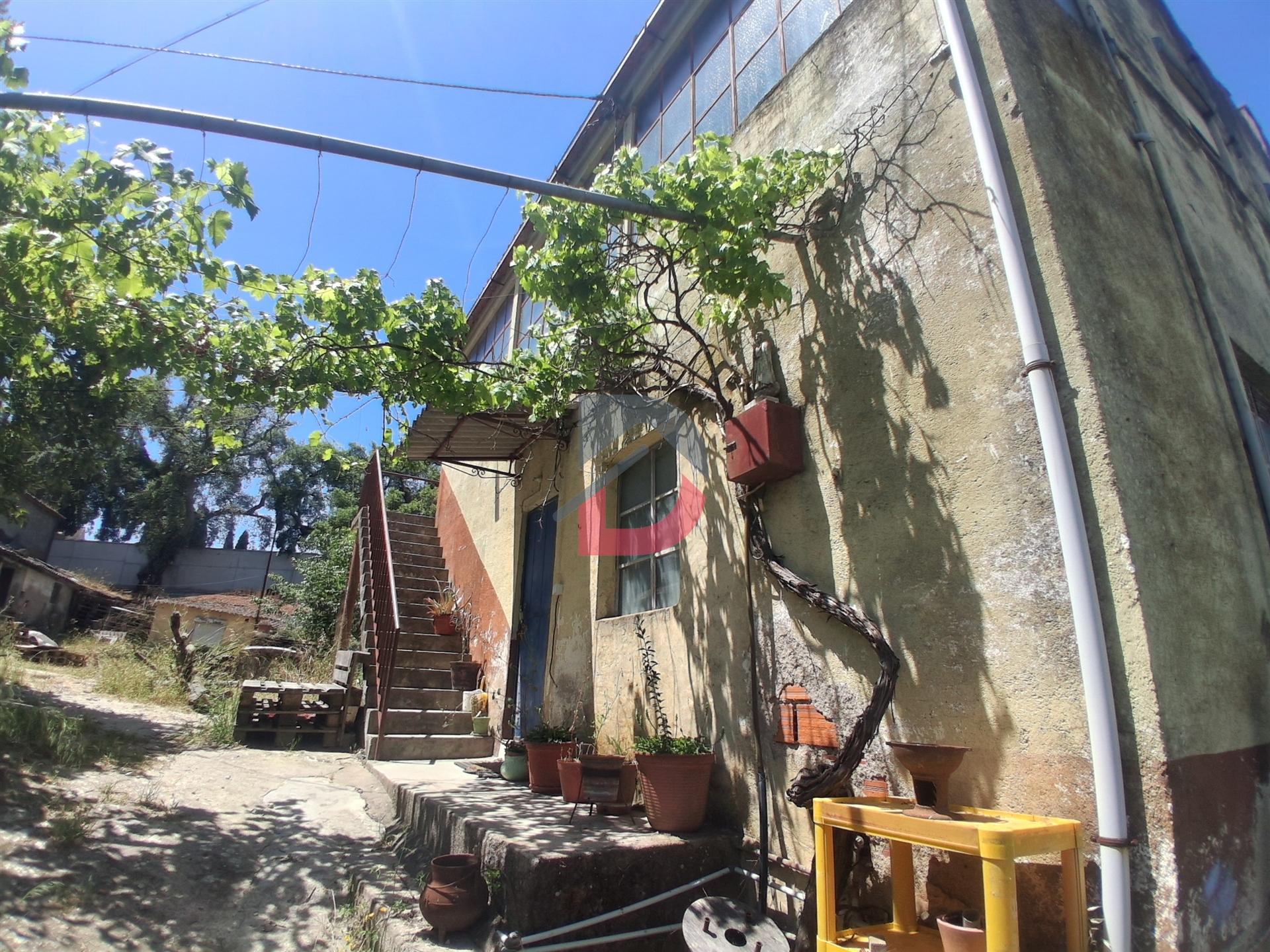 Quinta