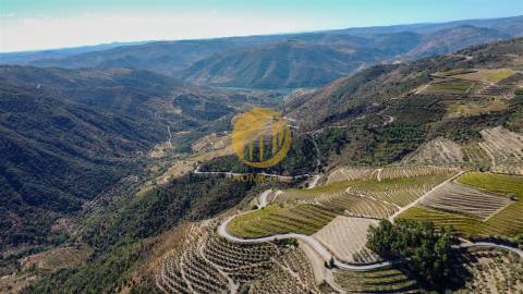 Casa em Pedra para Reabilitação Total – Seixo de Ansiães