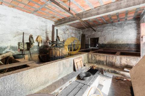 Moradia para reabilitar com Quintal e Lagar em Funcionamento – Seixo de Ansiães