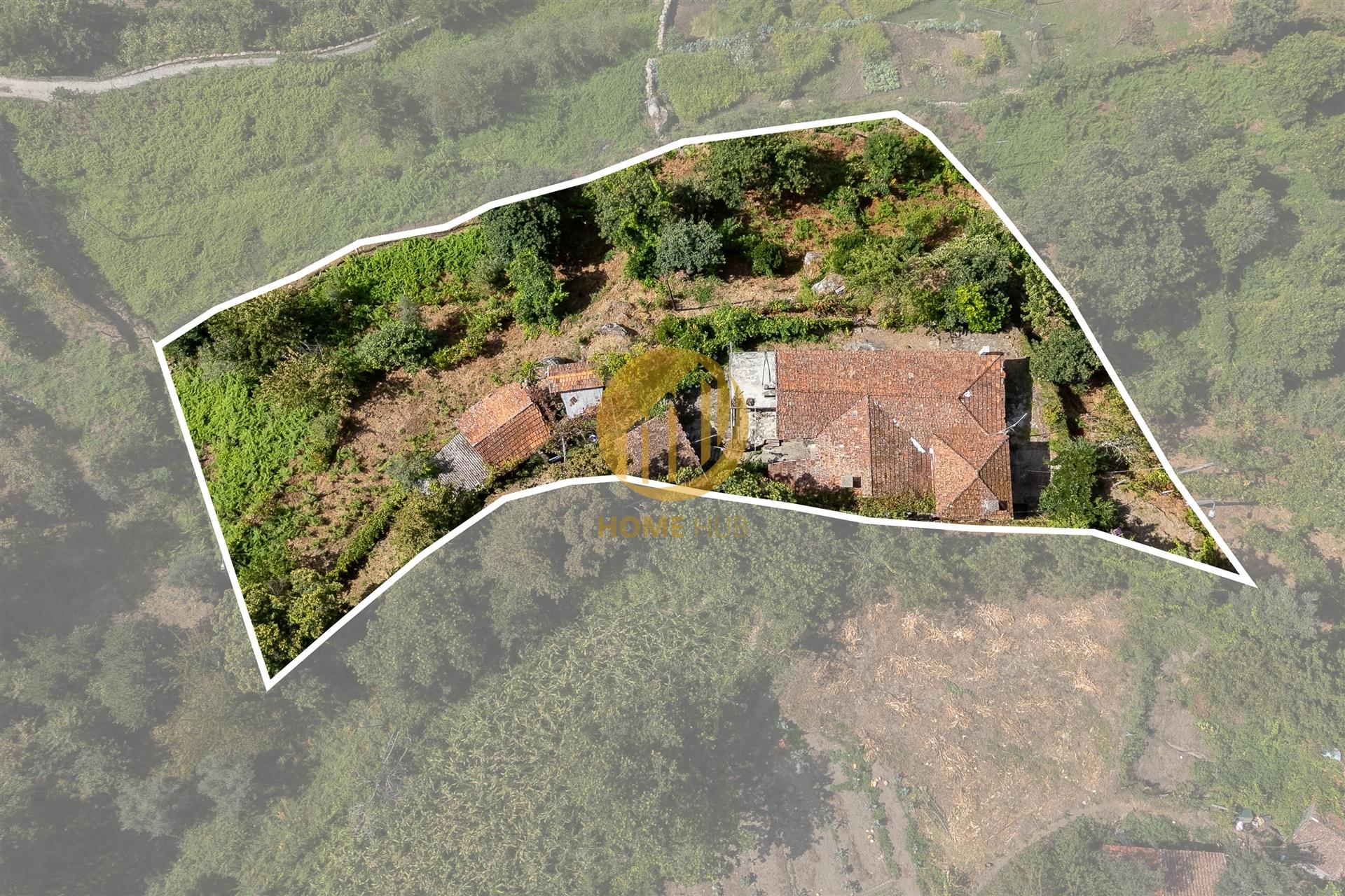Oportunidade Única no Douro Verde – Quinta com Casa em Pedra, Terreno Agrícola e Nascente de Água