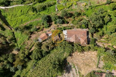Oportunidade Única no Douro Verde – Quinta com Casa em Pedra, Terreno Agrícola e Nascente de Água