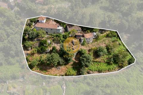 Oportunidade Única no Douro Verde – Quinta com Casa em Pedra, Terreno Agrícola e Nascente de Água
