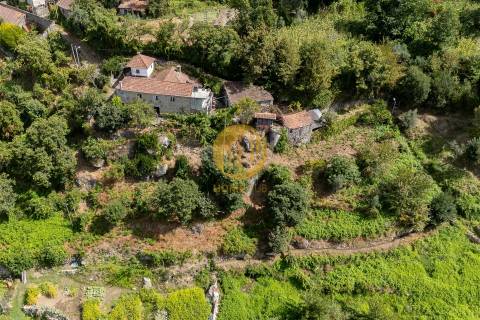 Oportunidade Única no Douro Verde – Quinta com Casa em Pedra, Terreno Agrícola e Nascente de Água