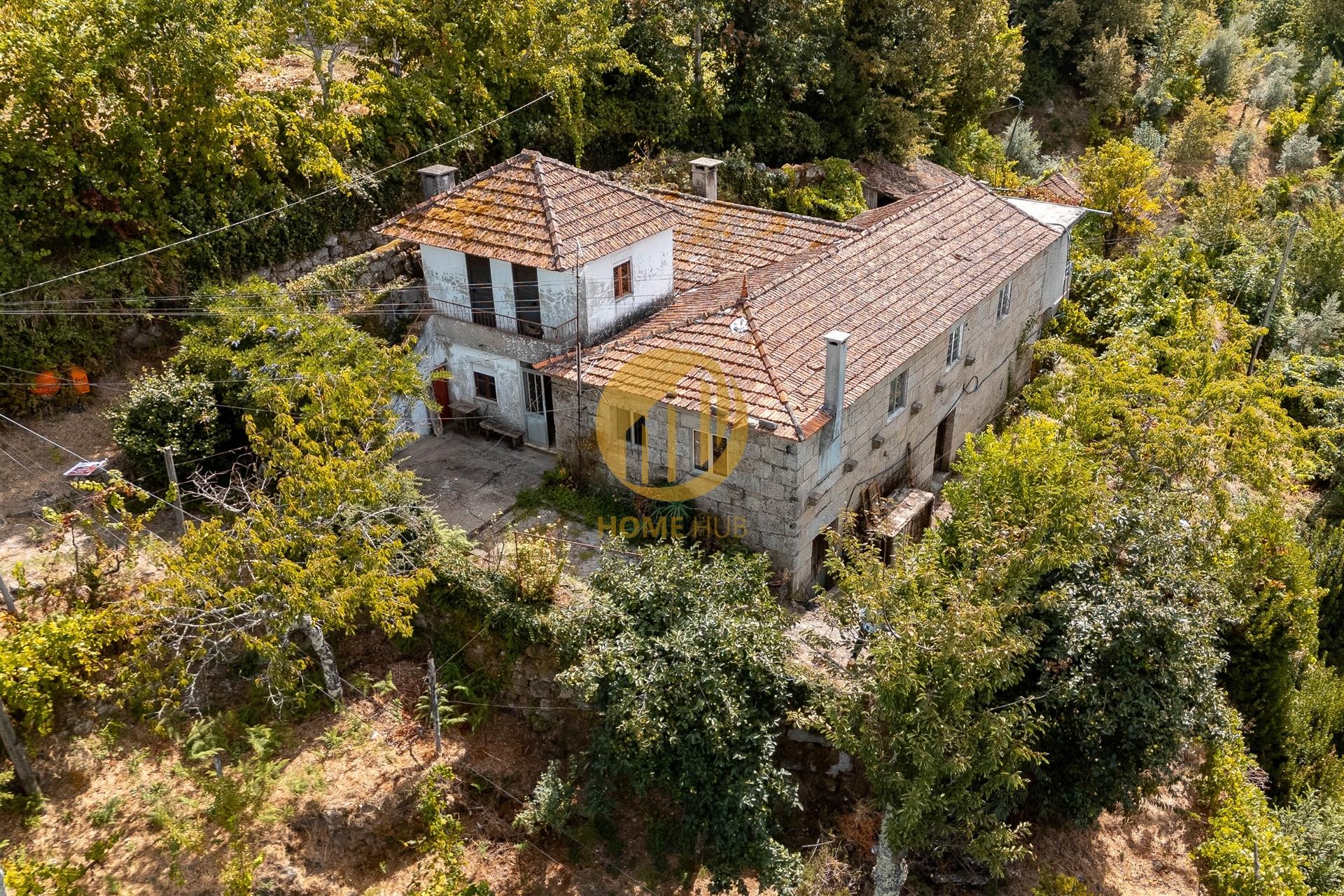 Oportunidade Única no Douro Verde – Quinta com Casa em Pedra, Terreno Agrícola e Nascente de Água