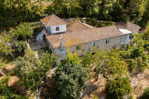 Oportunidade Única no Douro Verde – Quinta com Casa em Pedra, Terreno Agrícola e Nascente de Água