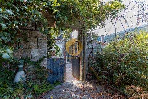 Oportunidade Única no Douro Verde – Quinta com Casa em Pedra, Terreno Agrícola e Nascente de Água