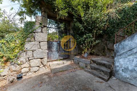 Oportunidade Única no Douro Verde – Quinta com Casa em Pedra, Terreno Agrícola e Nascente de Água