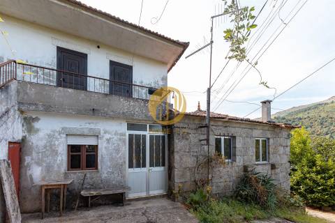 Oportunidade Única no Douro Verde – Quinta com Casa em Pedra, Terreno Agrícola e Nascente de Água